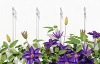 Fischer 524870 Gasbetondeuvel 8 mm 20 stuk(s) - thumbnail