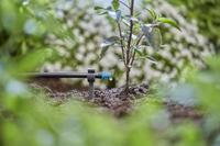 Gardena Micro-Drip-System Buishouder 4,6mm (3/16) - thumbnail