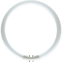 Osram Lumilux T5 Circulair FC 40W - 840  | 30cm - thumbnail