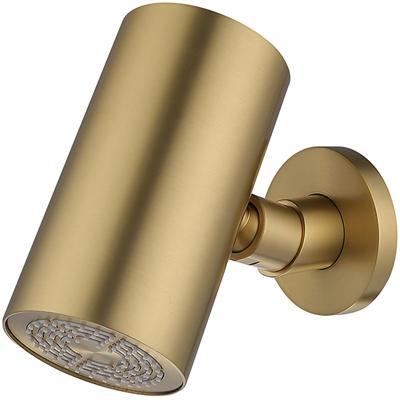 Wiesbaden UniMatch Beam Hoofddouche - Luxe Rond Design - Geborsteld Messing