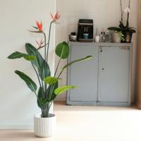 Emerald kunstplant met pot en bloemen strelitzia 120 cm - thumbnail