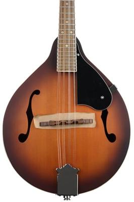 Fender PM-180E Mandolin Aged Cognac Burst WN elektrisch-akoestische mandoline met gigbag