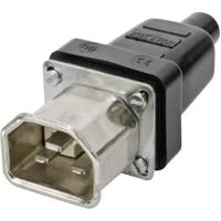 Kalthoff 444009 Apparaatstekker (warm) 444 Stekker, recht Totaal aantal polen: 2 + PE 16 A Zwart 1 stuk(s) - thumbnail