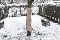 Connex Beschermingsfolie 30G/M? 5X1.5M - FLOR80270 - thumbnail