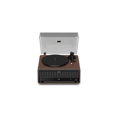 Philips The Tina TAV9000D/10 All-in-One Platenspeler Philips The Tina TAV9000D/10 All-in-One Platenspeler