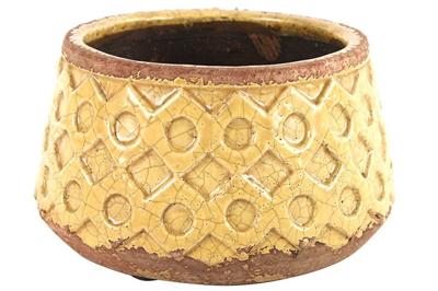 Schaal Rosana L geel