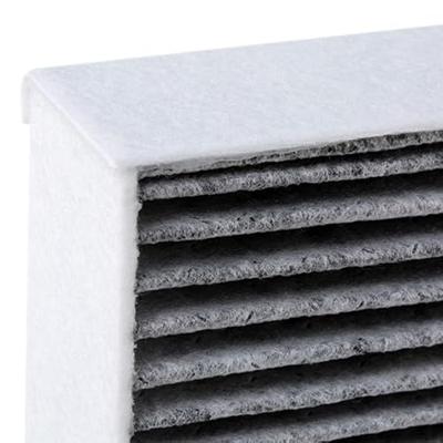 Interieurfilter R5585