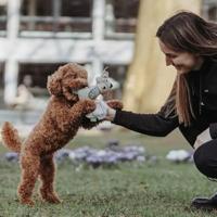 Knuffel voor honden Hunter Beige 100 % Gerecycled Fox - thumbnail