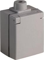 Enzo Perilex opbouw stopcontact | 16A | SWD | grijs | ABL 2441860 - 4052965 - thumbnail