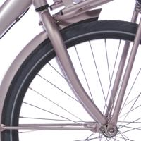 Cortina voorvork 24 u4 meisjes brilliant silver matt - thumbnail