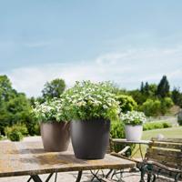 Jardiniere - Classico kleur 28 - Complete set - Wit - 9 L - LECHUZA - thumbnail