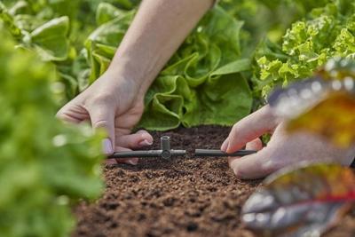 Gardena T-stuk 3/16 voor sproeiers