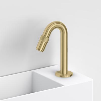 Fonteinkraan Clou Freddo 9 Geborsteld Goud PVD Clou