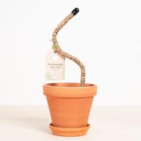 Buigbare Klimpaal - 30cm - thumbnail