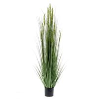 Emerald kunstplant graangras 150 cm - thumbnail