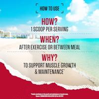 True Mass All-in-one | Bsn | 4200 G - thumbnail