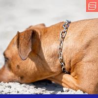 Hondenhalsband Hs Sprenger Halflang (55 cm) - thumbnail