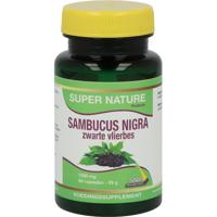 Sambucus Nigra - thumbnail