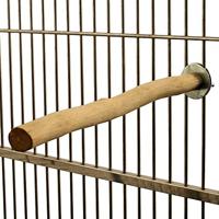 Back Zoo Nature java perch - thumbnail