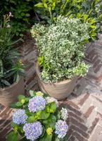 Capi waste bol rib nl kunststof bloempot 43x41 cm terrazzo beige - thumbnail