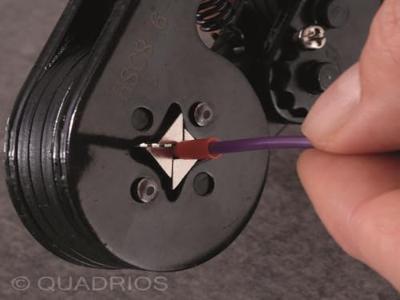 Quadrios 22C429 Adereindhulzen 2.5 mm² Deels geïsoleerd Blauw 1 set(s)