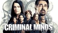 Criminal Minds complete season 1-15 - thumbnail
