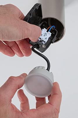 Paulmann Turnal Coin 3SD EBL Eisen 93090 LED-inbouwlamp LED LED 6 W IJzer (geborsteld)