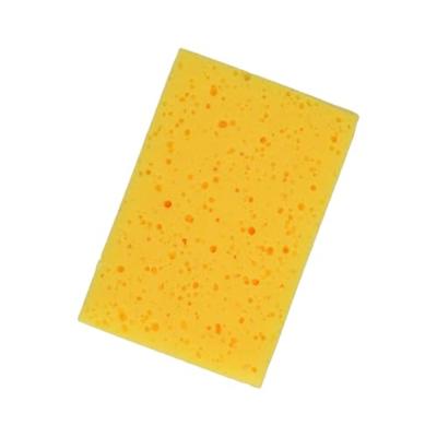 Protecton insectenspons