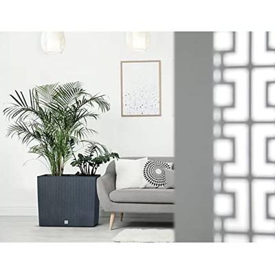 Prosperplast Bloempot Rato Case (aarde bruin, 580x180x498)