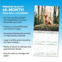 Engelse Cocker Spaniel Kalender 2026 - thumbnail