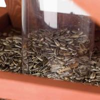 TRIXIE NATURA VOEDERHUIS MET STANDAARD EN SILO GRENENHOUT BRUIN 53X53X28/140 CM - thumbnail