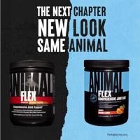 Animal Flex Powder | Universal | 369g - thumbnail