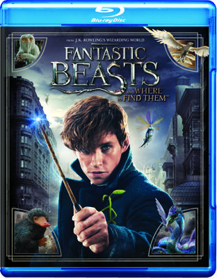 Fantastic Beasts And Where To Find Them Fantastic Beasts And Where To Find Them
