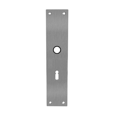 Intersteel renovatieschild rechthoekig 250x55x2mm sleutelgat 56mm - RVS