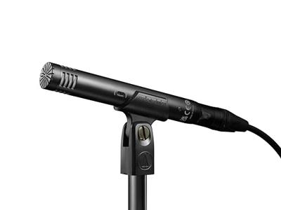 Audio Technica AT2031