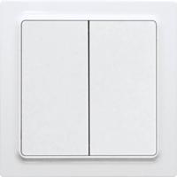 Eltako FT55EH-wg Toets ZigBee Opbouw (op muur) Bereik max. (in het vrije veld) 30 m - thumbnail