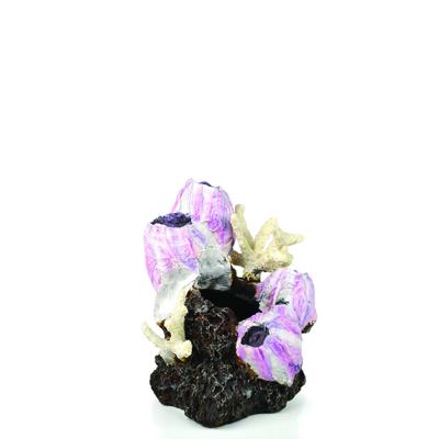 BiOrb ornament eendenmossel roze klein aquarium decoratie