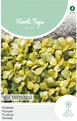 Zaden Postelein Breedbladige Gele Hortitops - Hortitops Zaden Postelein Breedbladige Gele Hortitops - Hortitops
