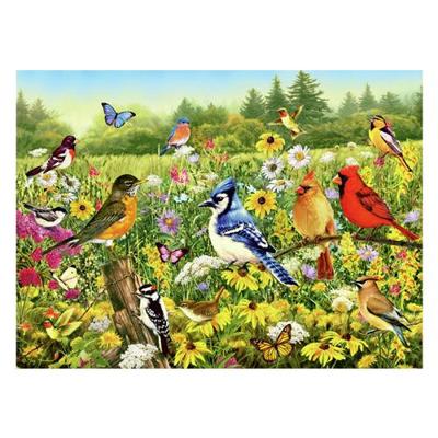 Ravensburger legpuzzel vogels in de wei, 1000st.