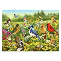 Ravensburger legpuzzel vogels in de wei, 1000st. - thumbnail