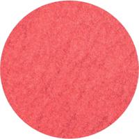 PFERD TOOLS CDR 50 CO-COOL 120 42776512 Schuurblad Korrelgrootte (num) 120 (Ø) 50 mm 100 stuk(s) - thumbnail