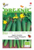 Zaden Organic Augurk Profi F1 (BIO) Buzzy - Buzzy - thumbnail