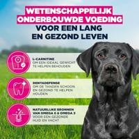 Eukanuba Mature Large kip hondenvoer 15 kg - thumbnail