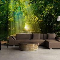 Zelfklevend fotobehang - Bospad in zonlicht , Premium Print - thumbnail