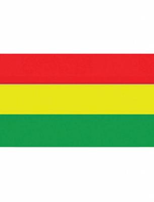 Vlag Carnaval 150x90cm rood/geel/groen