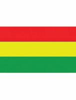 Vlag Carnaval 150x90cm rood/geel/groen - thumbnail