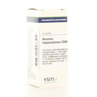 VSM Aesculus hippocastanum 200K 4 Gram - thumbnail