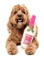 FUZZYARD DOG DAY ROSE PLUCHE - thumbnail