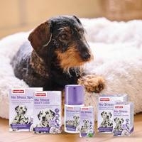 Beaphar No Stress Spot On hond 3 pipetten - thumbnail
