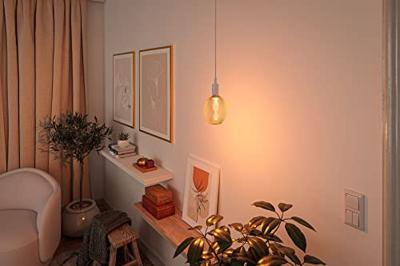 Paulmann 29088 LED-lamp E27 Globe Helix 3.5 W Goud (Ø x h) 110 mm x 160 mm 1 stuk(s)